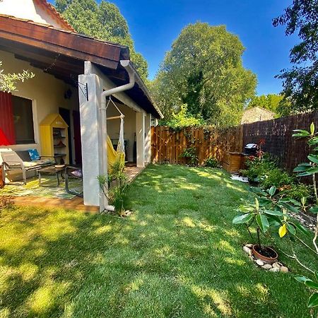 Villa Gecko Saint-Rémy-de-Provence Dış mekan fotoğraf